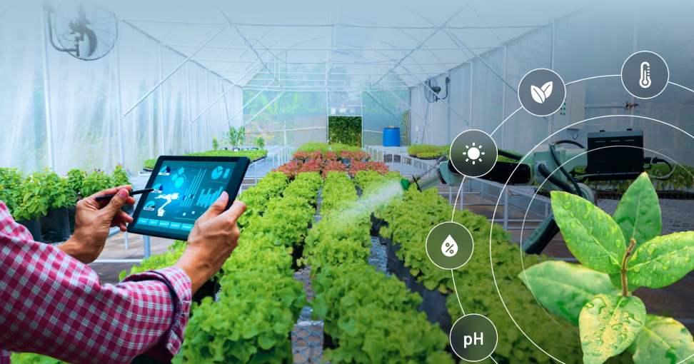 Smart Farming: IoT Solutions for Sustainable Agriculture